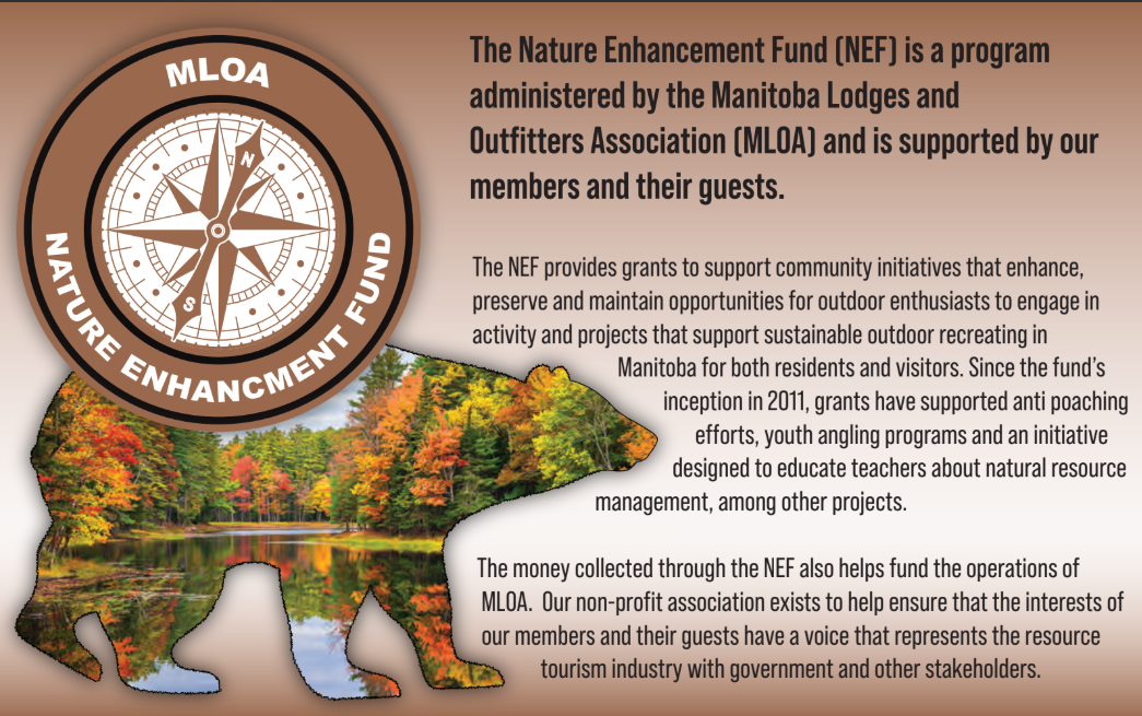 NEF Card